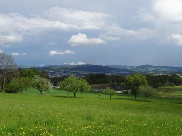 Appartamento Desl'S Little Farm Waldburg Esterno foto