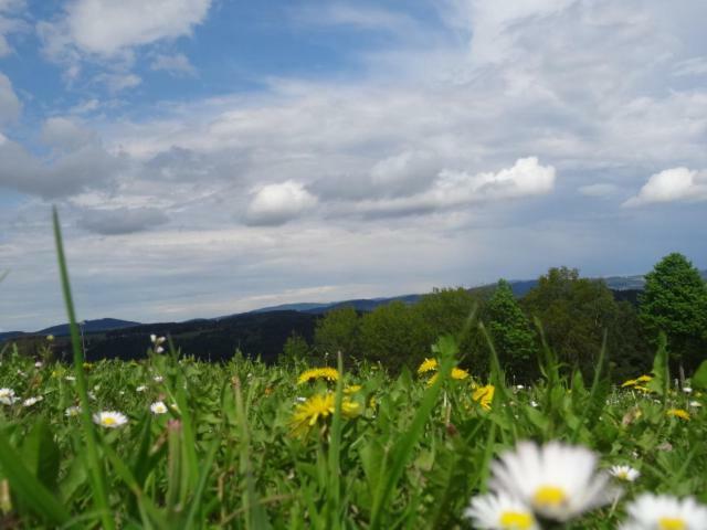 Appartamento Desl'S Little Farm Waldburg Esterno foto