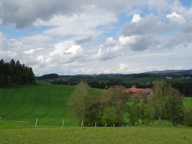 Appartamento Desl'S Little Farm Waldburg Esterno foto